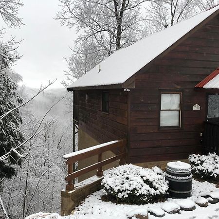 Black Bear Cove Gatlinburg Dış mekan fotoğraf