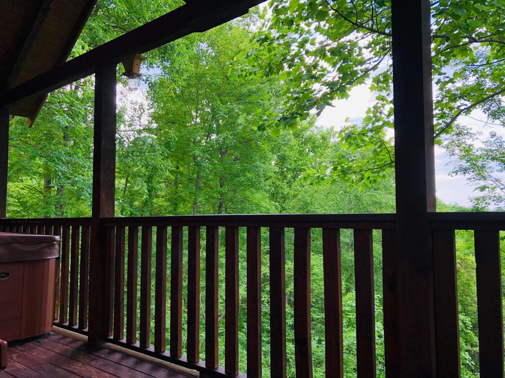 Black Bear Cove Gatlinburg Dış mekan fotoğraf