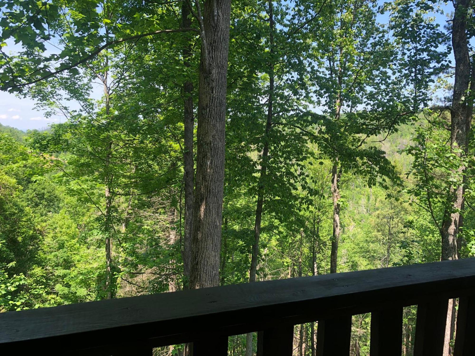Black Bear Cove Gatlinburg Dış mekan fotoğraf